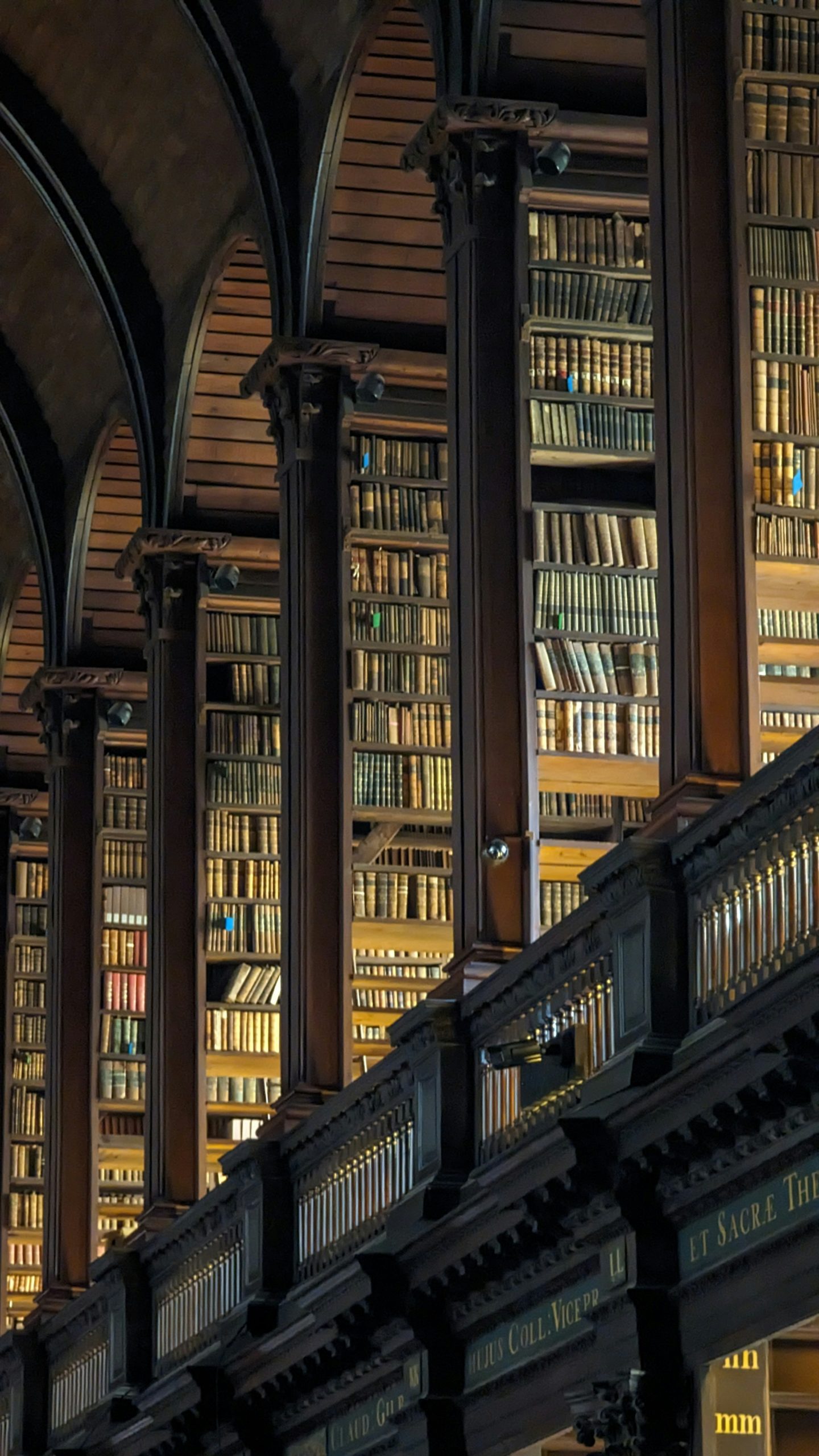 【中学英文法】受動態（受け身）の基本ルール｜be動詞 + 過去分詞で表現